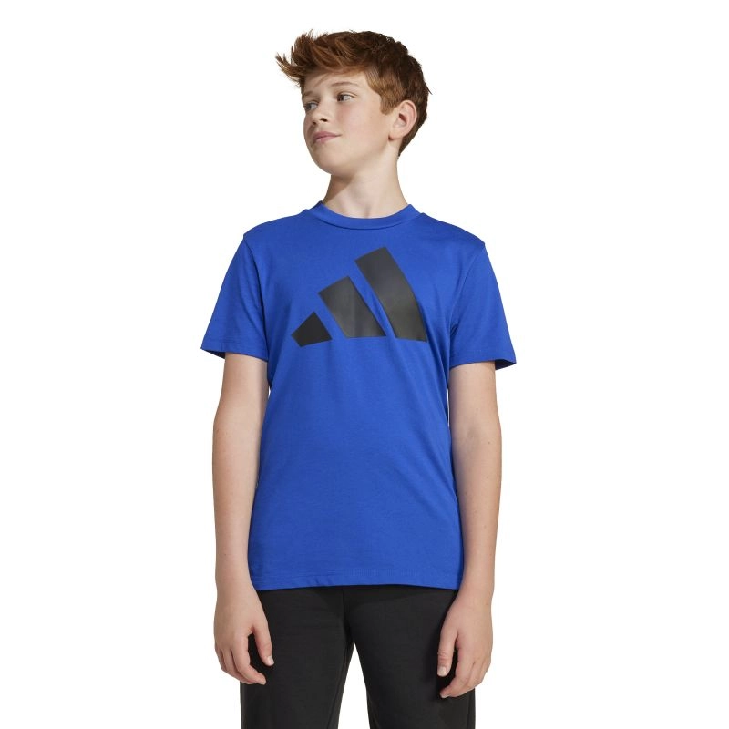 Adidas Boys Essentials Big Logo Tee