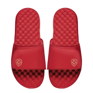 Future Looks Bright Sleek Lion Shield Red and Gold Comfort Slides