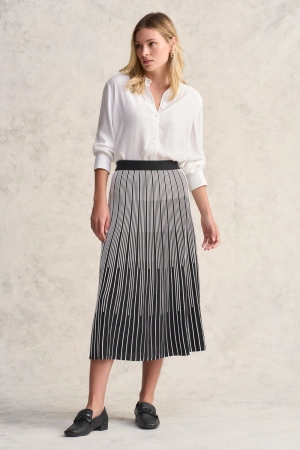 Gradual Stripe Skirt - Gradual Stripe
