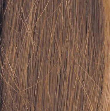 Grand Entrance Wig by Raquel Welch | Human Hair (Lace Front Mono Top)